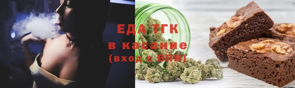 прущие грибы Верхний Тагил