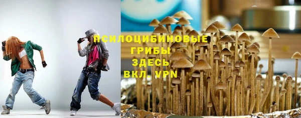 кокс Бородино